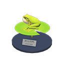 Frog Model Product Image