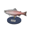 King Salmon Model Product Image