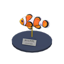 Clown Fish Model Product Image