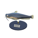 Catfish Model Product Image