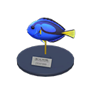 Surgeonfish Model Product Image