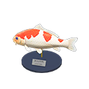 Koi Model Product Image