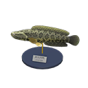 Giant Snakehead Model Product Image