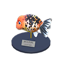 Ranchu Goldfish Model Product Image