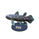 Coelacanth Model Product Image