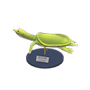 Soft-Shelled Turtle Model Product Image