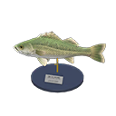 Sea Bass Model Product Image