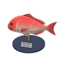 Red Snapper Model Product Image