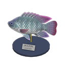 Tilapia Model Product Image