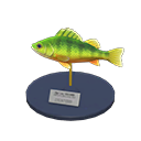 Yellow Perch Model Product Image