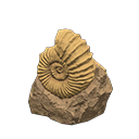 Ammonite Product Image