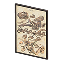 Framed Fossil Poster Product Image