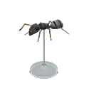 Ant Model Product Image