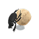 Dung Beetle Model Product Image