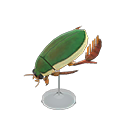 Diving Beetle Model Product Image