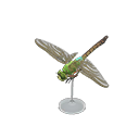 Darner Dragonfly Model Product Image