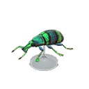 Blue Weevil Beetle Model Product Image