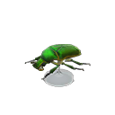 Drone Beetle Model Product Image