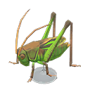 Grasshopper Model Product Image