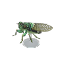 Robust Cicada Model Product Image