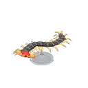 Centipede Model Product Image