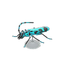 Rosalia Batesi Beetle Model Product Image