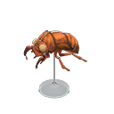 Cicada Shell Model Product Image