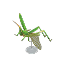 Long Locust Model Product Image