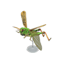 Migratory Locust Model Product Image
