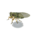 Walker Cicada Model Product Image