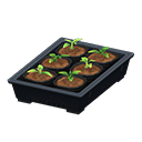 Potted Starter Plants Product Image