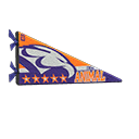 Pennant Product Image