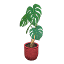 Monstera Product Image