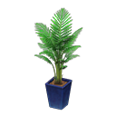 Fan Palm Product Image