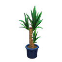 Yucca Product Image
