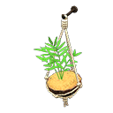 Coconut Wall Planter Product Image