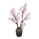 Cherry-Blossom Branches Product Image