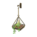 Hanging Terrarium Product Image