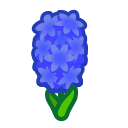 Blue Hyacinths Product Image