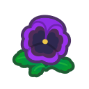 Purple Pansies Product Image