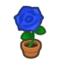 Blue-Rose Plant Product Image