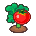 Ripe Tomato Plant Product Image