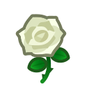 White Roses Product Image