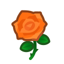 Orange Roses Product Image