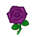 Purple Roses Product Image