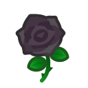 Black Roses Product Image