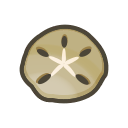 Sand Dollar Product Image