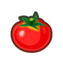 Tomato Product Image