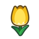 Yellow Tulips Product Image