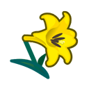 Yellow Lilies Product Image